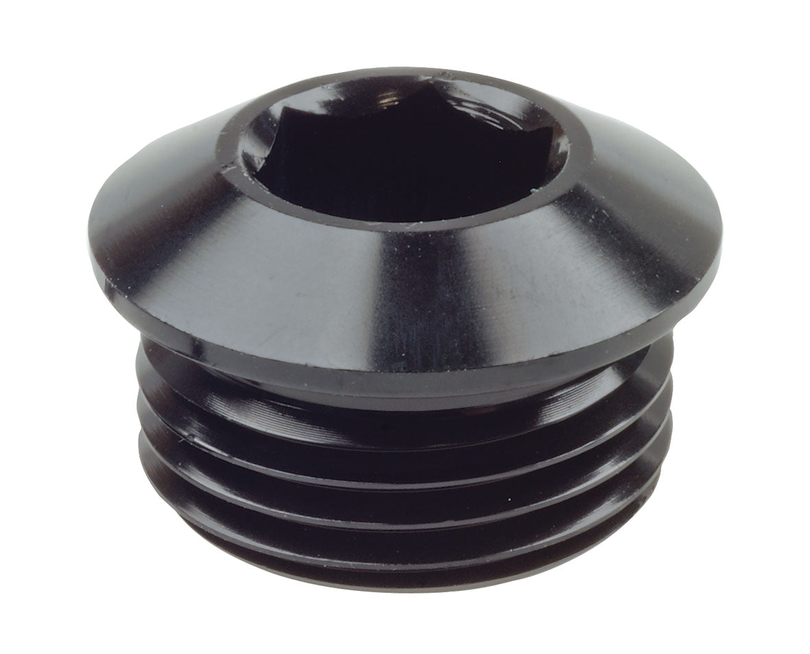 AN HEX O-RING PLUGS