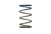 Gen4 / IWG WG38/40/45/50L 10PSI OUTER SPRING - BROWN/BLUE