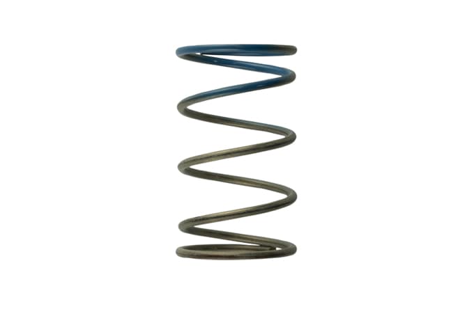 Gen4 / IWG WG38/40/45/50L 10PSI OUTER SPRING - BROWN/BLUE