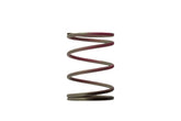 Gen4 / IWG WG38/40/45/50L 7PSI OUTER SPRING - BROWN/PINK